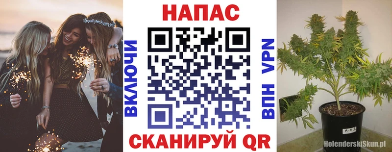 Каннабис White Widow  Чекалин 